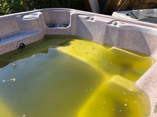 Hot Tub Mould Mildew Problems